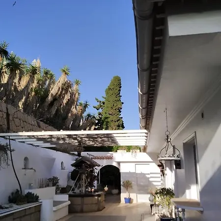 Lila Tenerife Sur